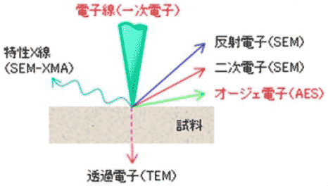 電子ビーム照射により試料から発生する情報