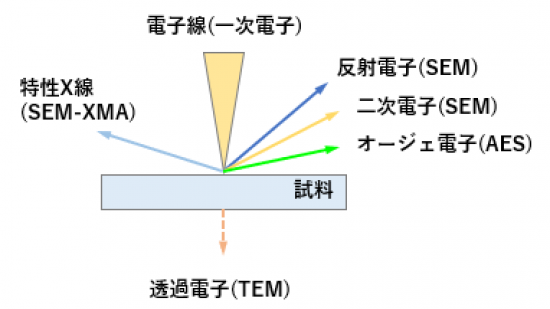 電子ビーム照射により試料から発生する情報