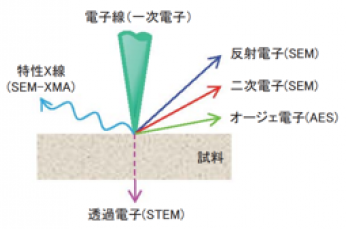 電子ビーム照射による試料から発生する情報