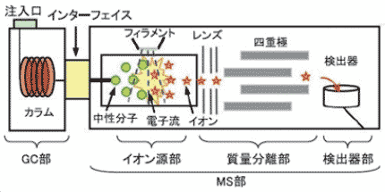 GC/MS装置構成