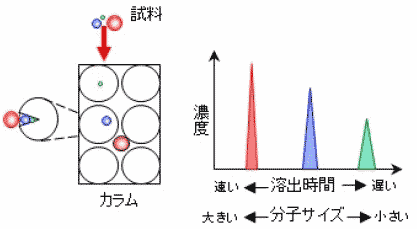 GPCカラムによる分離の模式図とクロマトグラム