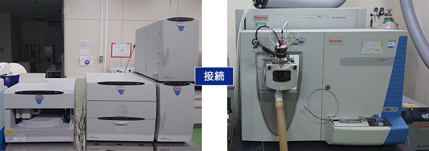 イオンクロマトグラフ／質量分析装置