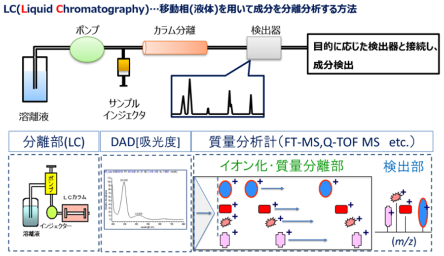 LC（Liquid Chromatography）-移動相（液体）を用いて成分を分離分析する方法