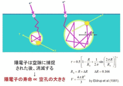 陽電子消滅法の測定原理