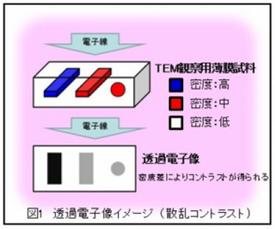 透過電子像イメージ（散乱コントラスト）