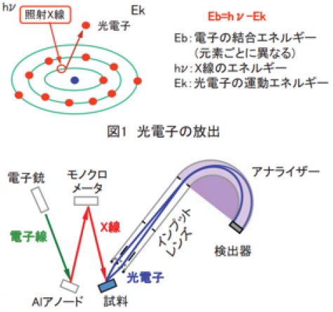 装置概略図